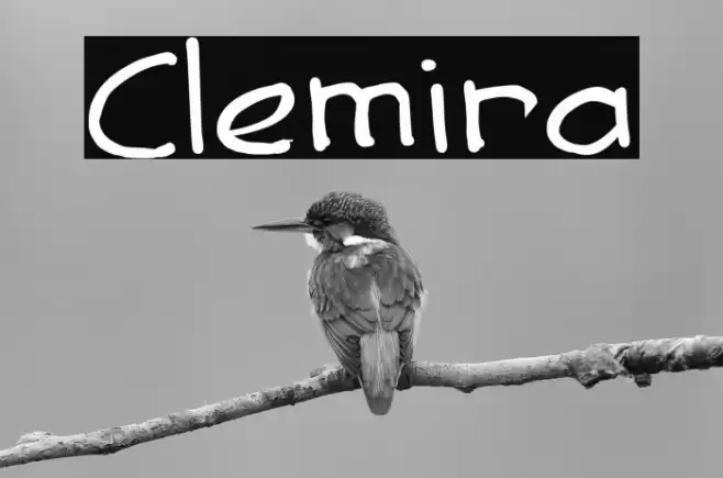 Clemira Font examples