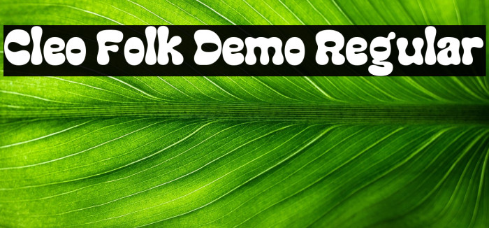 Cleo Folk Demo Regular Example 3