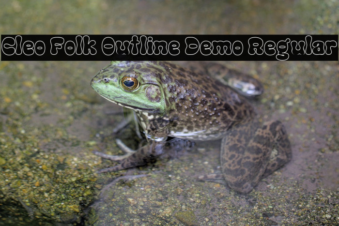 Cleo Folk Outline Demo Regular Example 2