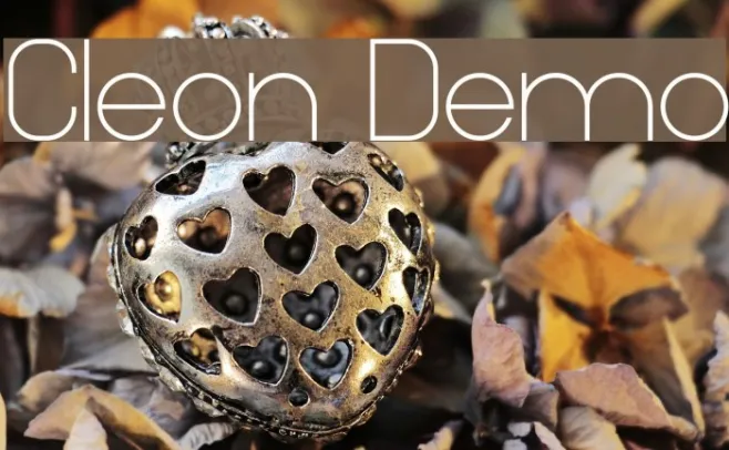 Cleon Demo Example 1