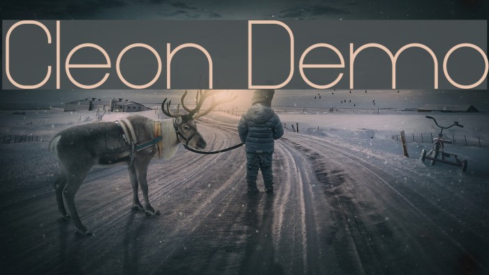 Cleon Demo Font examples