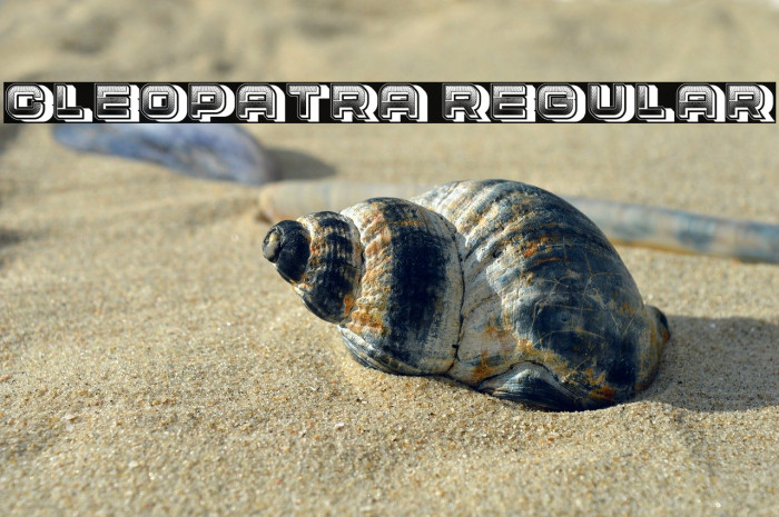 Cleopatra Regular Example 2