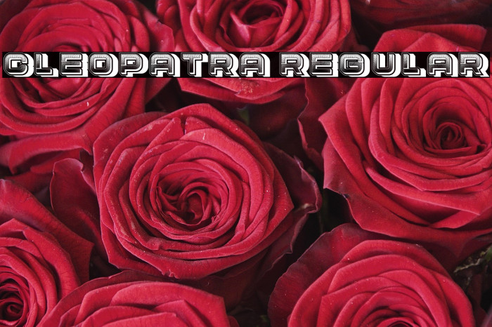 Cleopatra Regular Example 3