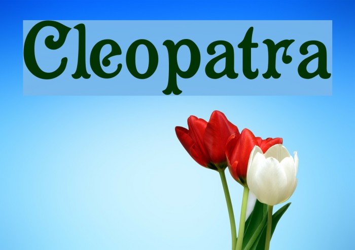 Cleopatra Font examples