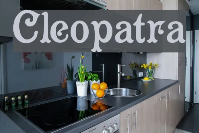 Cleopatra Example 3