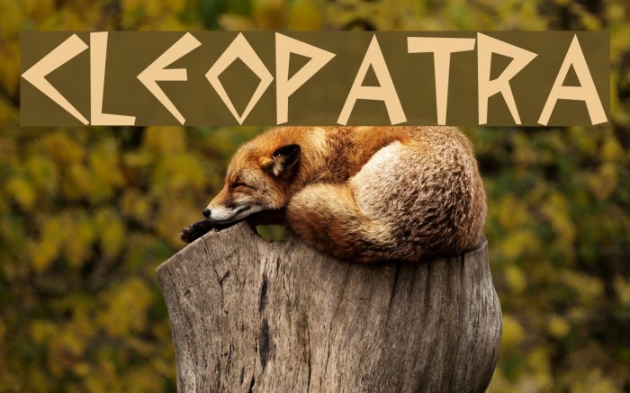 Cleopatra Font examples