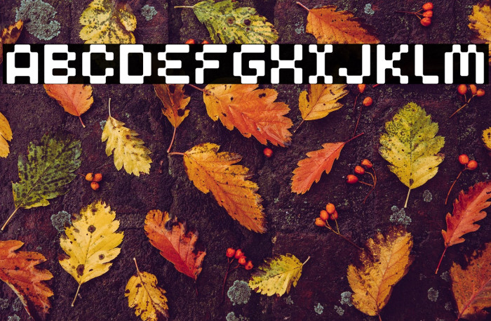 Clepto Regular Example 1