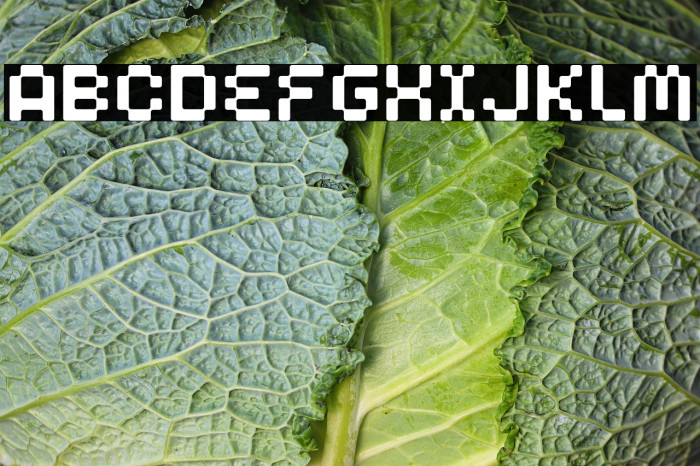 Clepto Regular Example 2