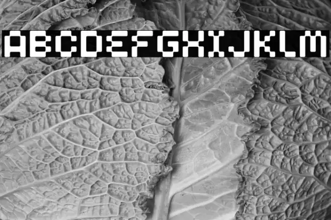 Clepto Regular Font examples