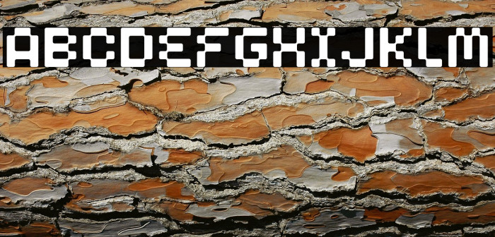 Clepto Regular Example 3