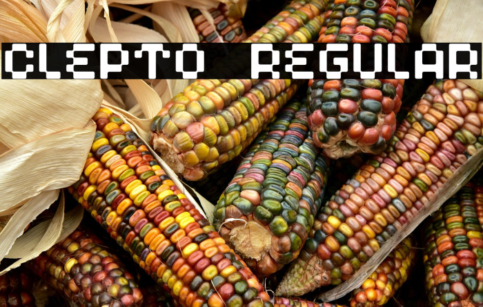 Clepto Regular Example 3