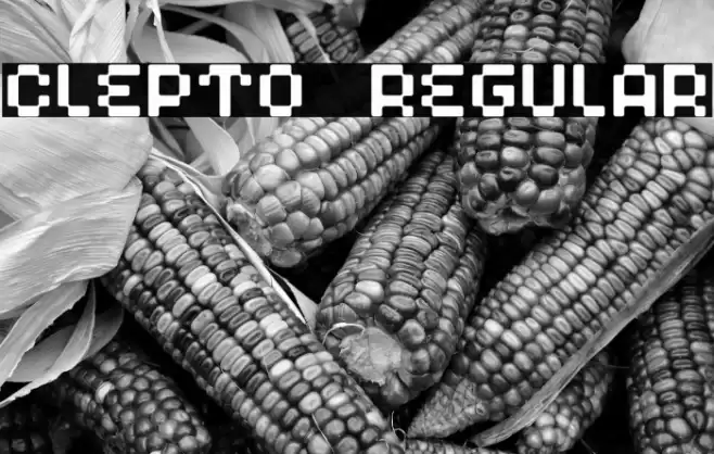 Clepto Regular Font examples