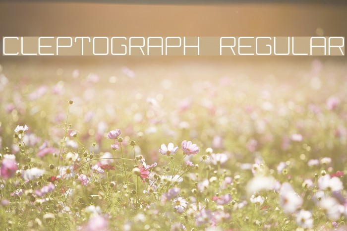 Cleptograph Regular Font examples