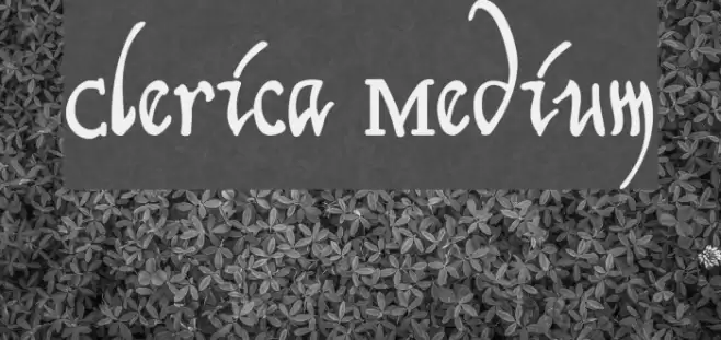 Clerica Medium Polices examples