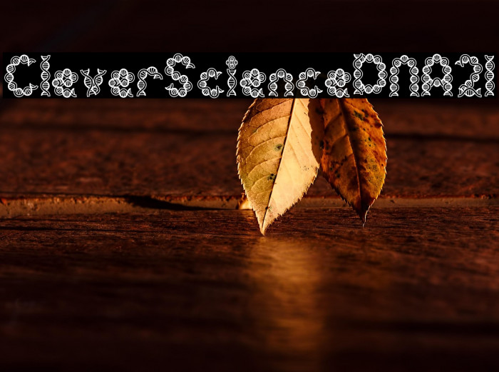 Clever Science DNA 21 Example 1