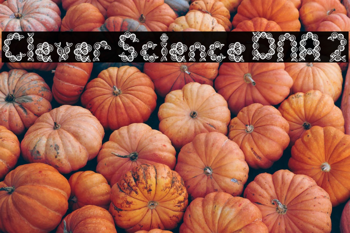 Clever Science DNA 2 字体 examples