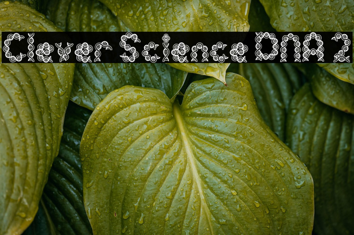 Clever Science DNA 2 字体 examples