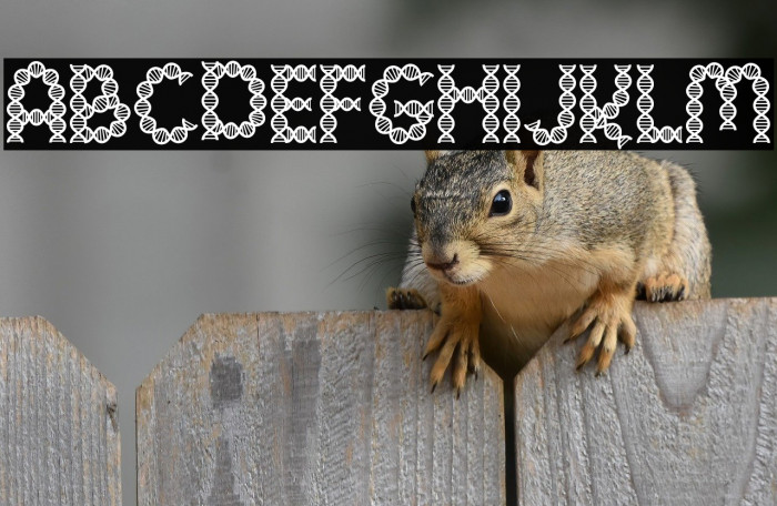 Clever Science Dna 字体 examples