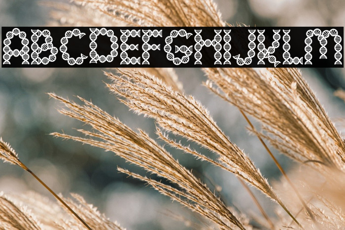 Clever Science Dna 字体 examples