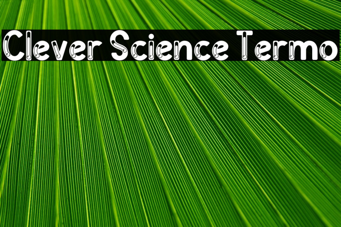 Clever Science Termo 字体 examples