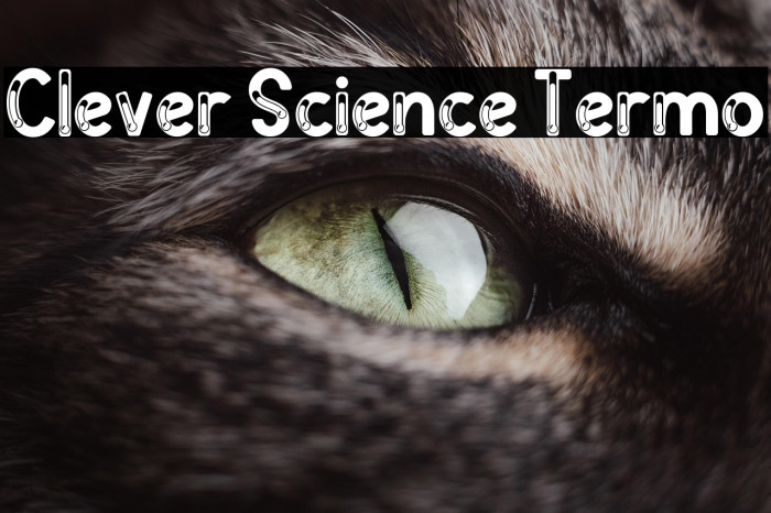 Clever Science Termo 字体 examples