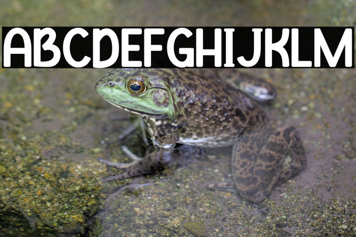 Clever Science 字体 examples