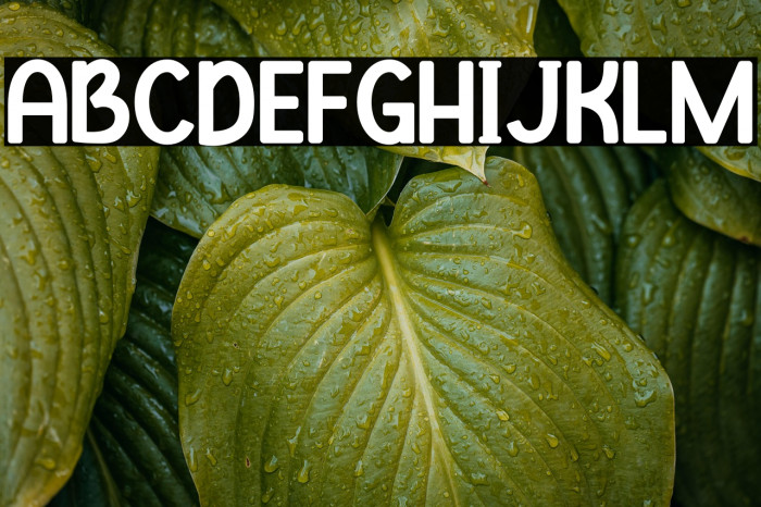 Clever Science 字体 examples