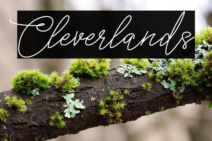 Cleverlands Example 2