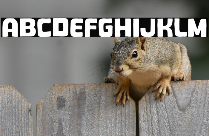 Click Cheese Example 3