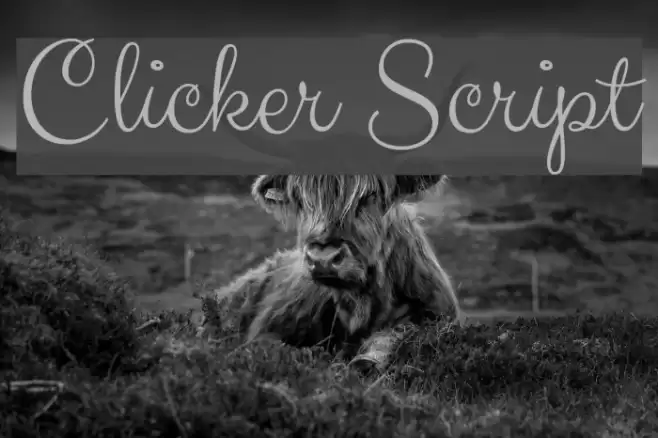 Clicker Script Font examples