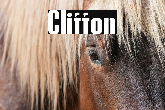 Cliffton Example 1