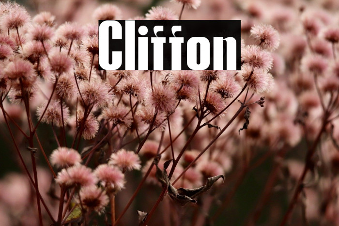 Cliffton Example 3
