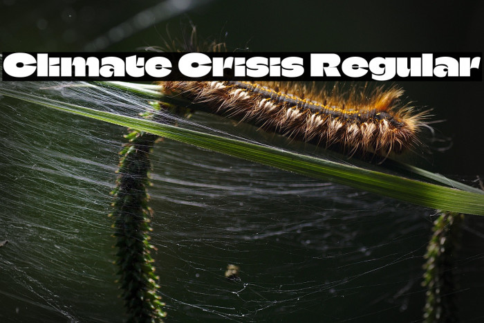 Climate Crisis Regular Fuentes examples