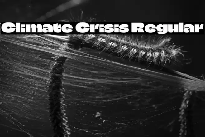 Climate Crisis Regular Fonte examples