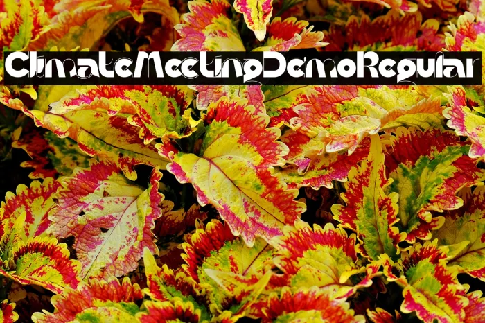 Climate Meeting Demo Regular Example 3