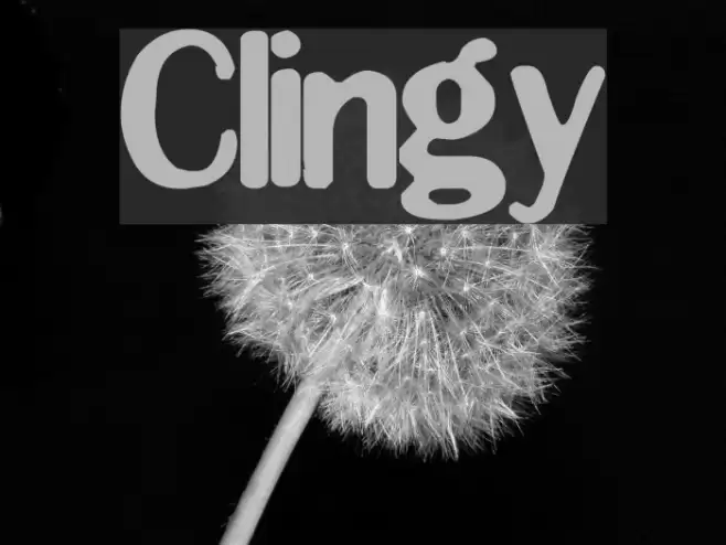 Clingy Polices examples