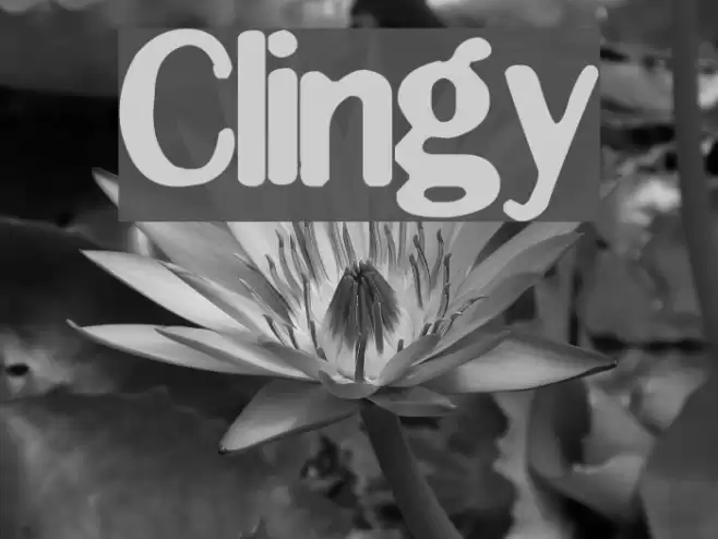 Clingy Polices examples