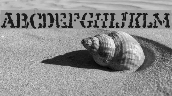 Clint フォント examples