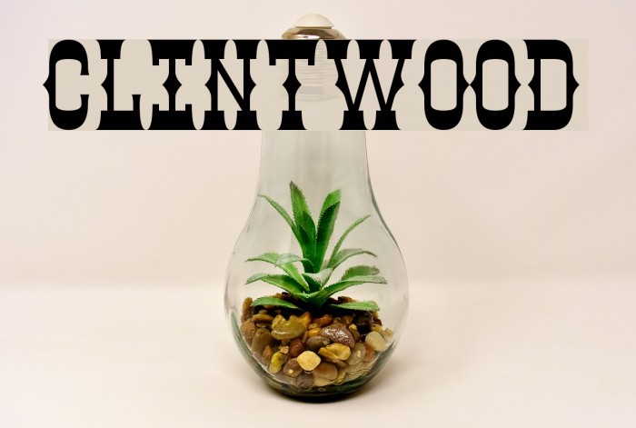 Clintwood Font examples