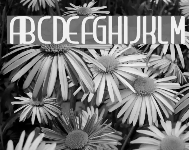 Clip Condensed Font examples