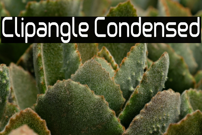 Clipangle Condensed Example 2