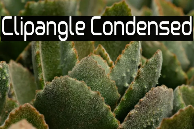 Clipangle Condensed Example 2