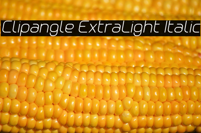 Clipangle ExtraLight Italic Example 1