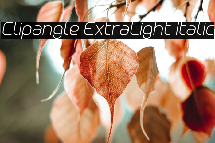 Clipangle ExtraLight Italic Example 2