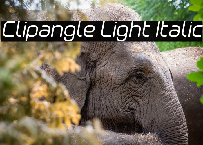 Clipangle Light Italic Example 1