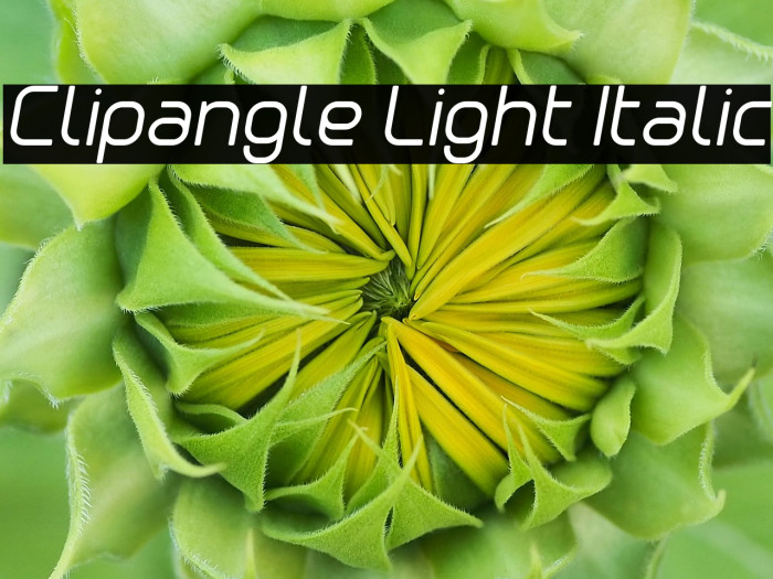 Clipangle Light Italic Example 2