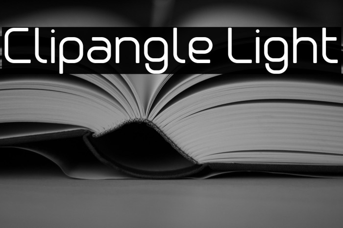 Clipangle Light Example 2
