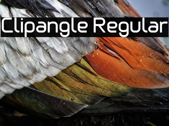 Clipangle Regular Example 2