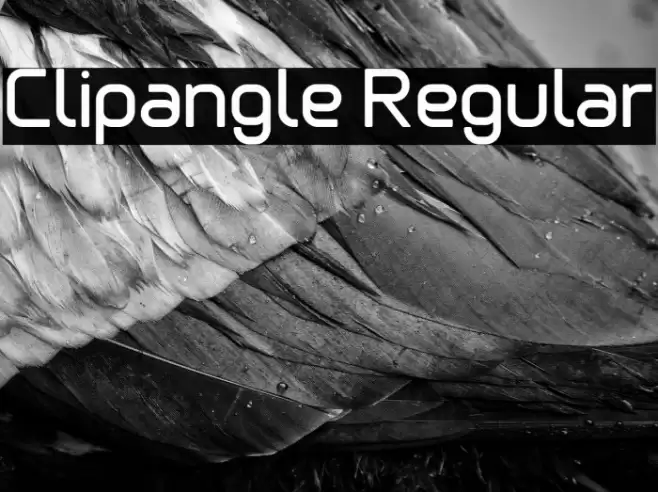 Clipangle Regular Font examples