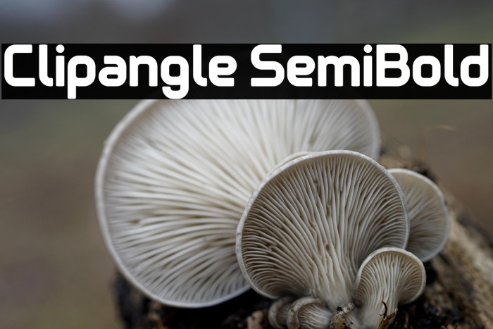 Clipangle SemiBold Example 2